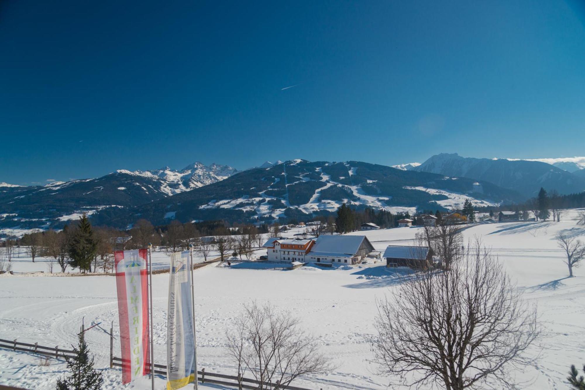 Almfrieden Hotel & Romantikchalet Ramsau am Dachstein Bagian luar foto